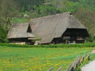 Foto's vakantie Zwarte Woud, Duitsland - 2009