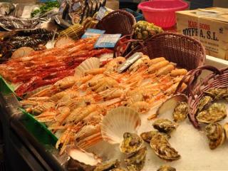 Foto's vakantie Barcelona en Valencia - 2017